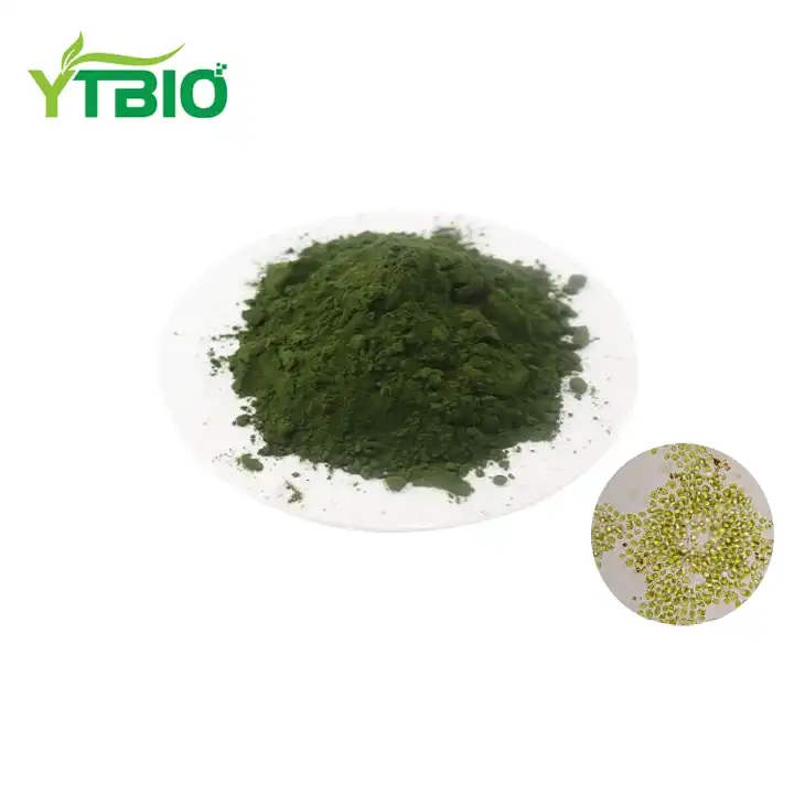 How to Make Organic Chlorella Powder Taste Better: Practical Tips for Flavor Improvement